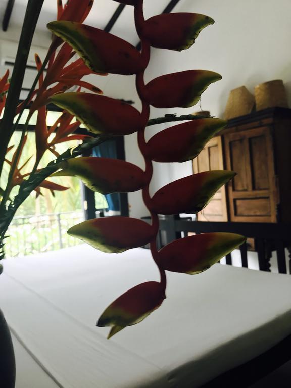 Indika'S Residence Galle Extérieur photo